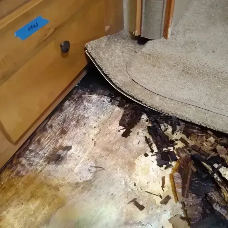 Wood Floor Water Damage in Potomac, MD